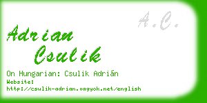 adrian csulik business card