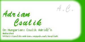 adrian csulik business card